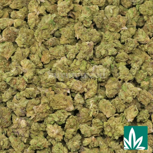 Runtz 'Smalls' Strain - 2