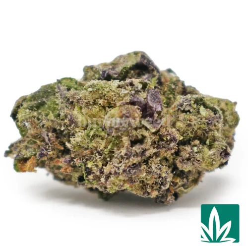 Runtz 'Smalls' Strain - 1